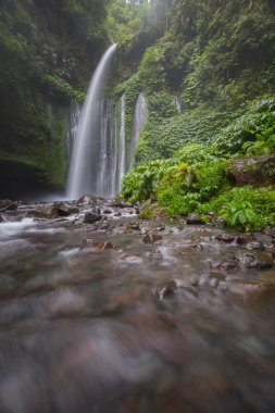Hava Terjun Tiu Kelep Şelalesi, Senaru, Lombok, Endonezya, Güneydoğu Asya
