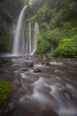 Hava Terjun Tiu Kelep Şelalesi, Senaru, Lombok, Endonezya, Güneydoğu Asya