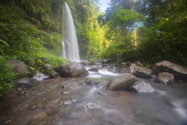 Mason kavanoza sikkeler üzerinde mavi arka ile bırakın. Kavram kaydetme.