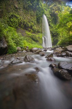 Mason kavanoza sikkeler üzerinde mavi arka ile bırakın. Kavram kaydetme.