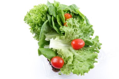 marul bir yığın closeup karışımı salata beyaz zemin üzerine