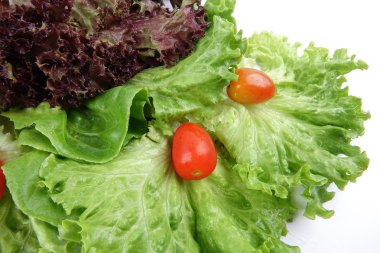 marul bir yığın closeup karışımı salata beyaz zemin üzerine