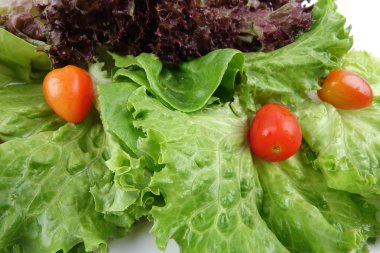 marul bir yığın closeup karışımı salata beyaz zemin üzerine