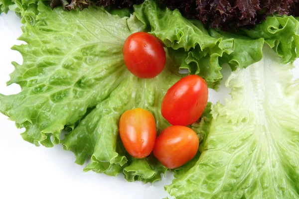 Closeup Pile Lettuce Mix Salad White Background — Stock Photo, Image