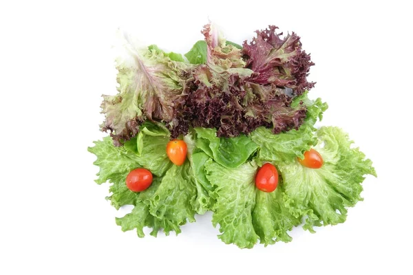 Închiderea Unei Grămezi Amestec Salată Verde Pentru Salată Fundal Alb — Fotografie, imagine de stoc