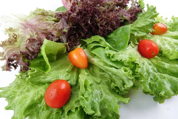 Fechar Uma Pilha Mistura Alface Salada Contexto Branco — Fotografia de Stock