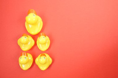 Ördekler senaryoya büyük ördek grubu. Liderlik kavramsal.