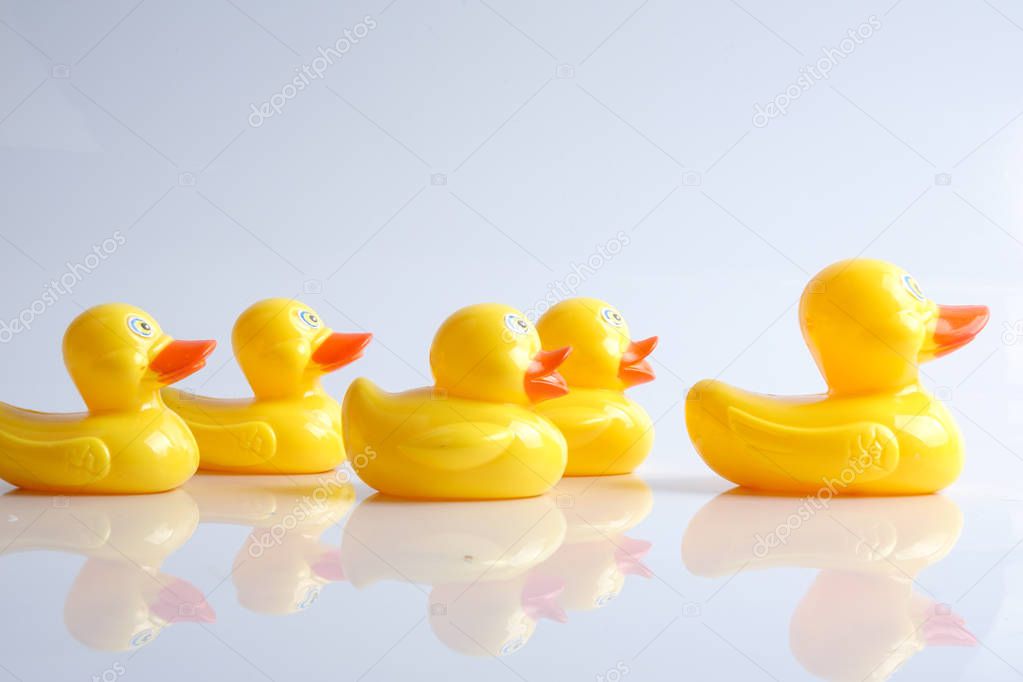 A group of ducks follwing big duck. Leadership conceptual.