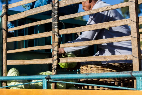 Indonesië Juli 2016 Unidentifed Lokale Boeren Werken Bij Kool Boerderij — Stockfoto