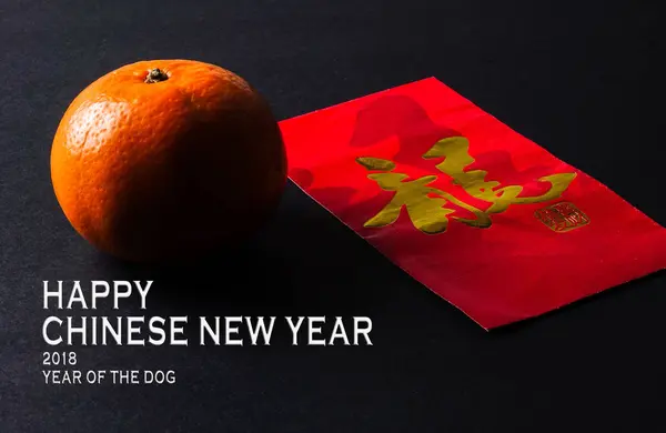 ANO DE CHINESE DE HAPPY CONCEITO. 2018 ANO DO DOG.O pa vermelho — Fotografia de Stock