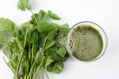 Pennywort suyu olarak da bilinen Pegaga. Pennywort sağlık yararları olan hafıza, dolaşım ve cilt koşulları, sinir sistemi ve bağışıklık sistemi.