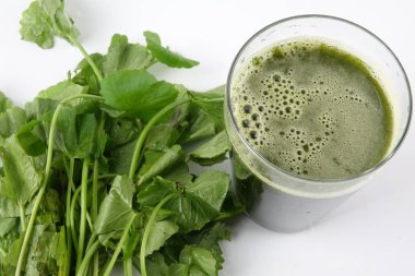 Pennywort suyu olarak da bilinen Pegaga. Pennywort sağlık yararları olan hafıza, dolaşım ve cilt koşulları, sinir sistemi ve bağışıklık sistemi.