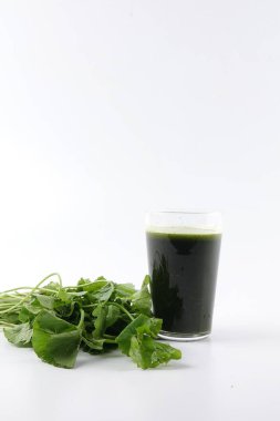 Pennywort suyu olarak da bilinen Pegaga. Pennywort sağlık yararları olan hafıza, dolaşım ve cilt koşulları, sinir sistemi ve bağışıklık sistemi.