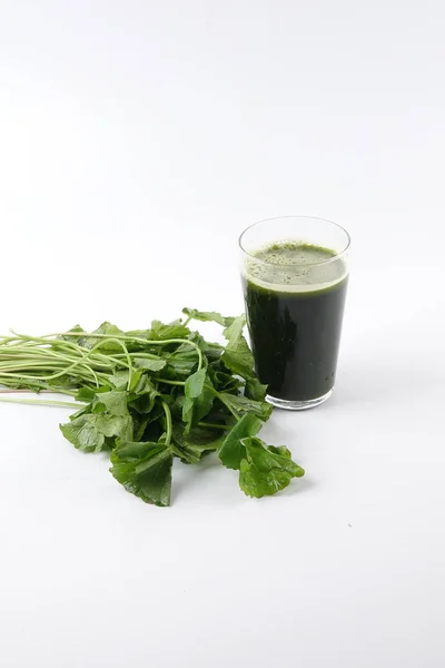 Jus Pennywort Juga Dikenal Sebagai Pegaga Manfaat Kesehatan Dari Pennywort — Stok Foto