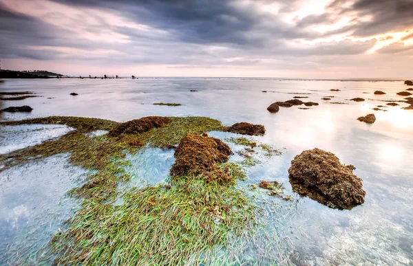 Vista Incrível Paisagem Marinha Yogyakarta Com Rocha Costeira Natural Como — Fotografia de Stock