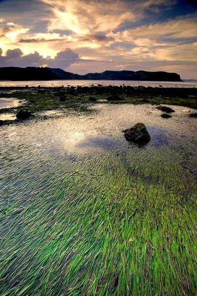Wahnsinnig Schöner Sonnenuntergang Auf Einem Küstenfelsen Strand Indonesien — Stockfoto