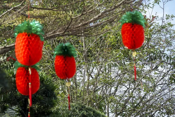 Linternas Chinas Jardín Durante Festival Año Nuevo — Foto de Stock
