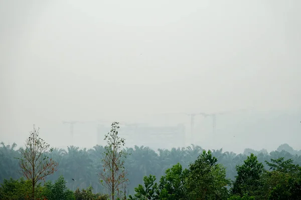 Vista Rural Baja Visibilidad Con Neblina Niebla Peligrosas Kuala Lumpur — Foto de Stock
