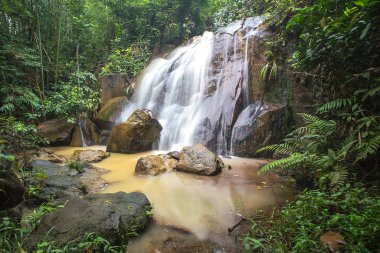 Muhteşem tropikal plajın manzarası. Doğa bileşimi ve canlı renkler.