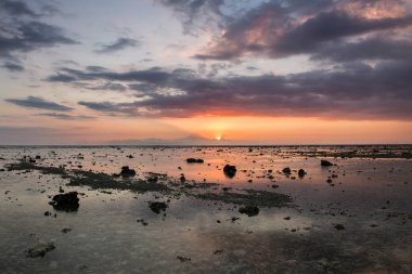 Muhteşem tropikal plajın manzarası. Doğa bileşimi ve canlı renkler.