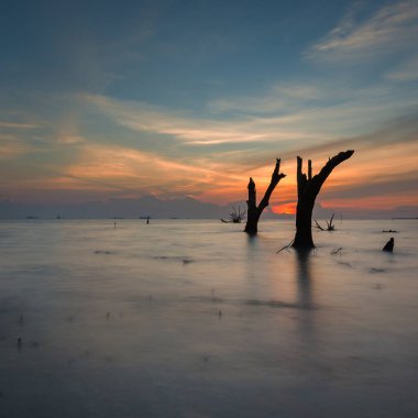 Muhteşem tropikal plajın manzarası. Doğa bileşimi ve canlı renkler.