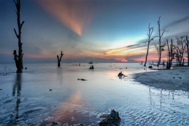 Muhteşem tropikal plajın manzarası. Doğa bileşimi ve canlı renkler.