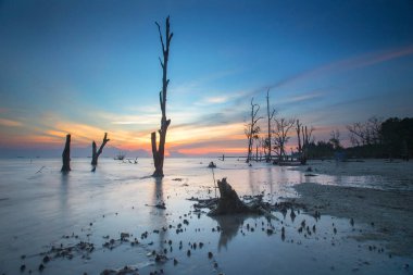 Muhteşem tropikal plajın manzarası. Doğa bileşimi ve canlı renkler.