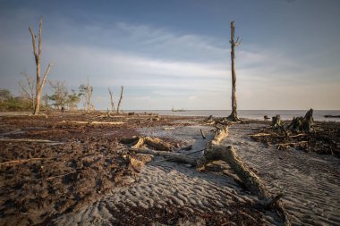 Muhteşem tropikal plajın manzarası. Doğa bileşimi ve canlı renkler.