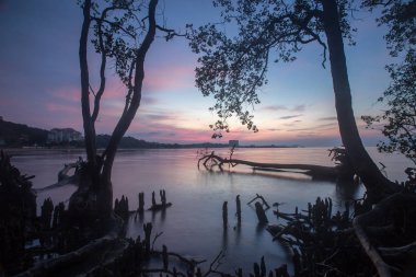 Muhteşem tropikal plajın manzarası. Doğa bileşimi ve canlı renkler.