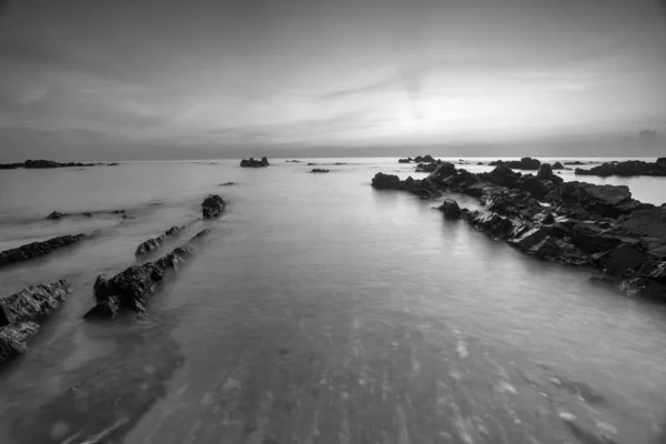 Vue Panoramique Plage Tropicale Incroyable Composition Nature Couleurs Vives — Photo