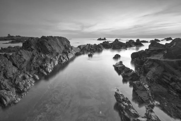 Scenic Uitzicht Een Prachtig Tropisch Strand Natuur Samenstelling Levendige Kleuren — Stockfoto