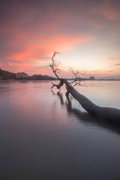 Malerischen Blick Auf Erstaunliche Tropische Strand Zusammensetzung Der Natur Und — Stockfoto