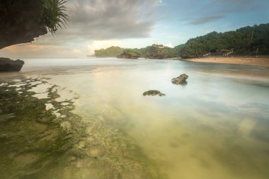 Muhteşem tropikal plajın manzarası. Doğa bileşimi ve canlı renkler.