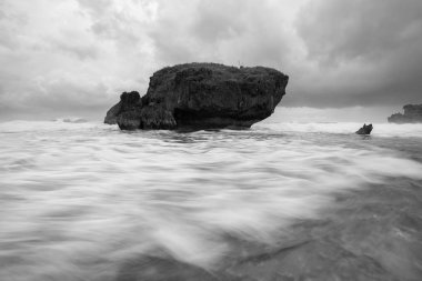 Muhteşem tropikal plajın manzarası. Doğa bileşimi ve canlı renkler.