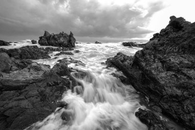 Muhteşem tropikal plajın manzarası. Doğa bileşimi ve canlı renkler.