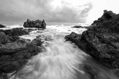Muhteşem tropikal plajın manzarası. Doğa bileşimi ve canlı renkler.