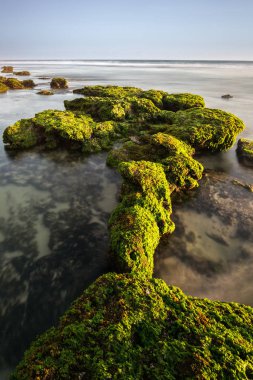 Muhteşem tropikal plajın manzarası. Doğa bileşimi ve canlı renkler.