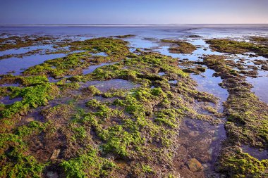 Muhteşem tropikal plajın manzarası. Doğa bileşimi ve canlı renkler.