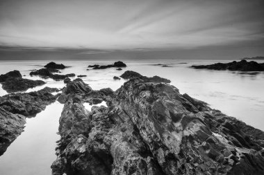 Muhteşem tropikal plajın manzarası. Doğa bileşimi ve canlı renkler.