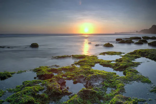 Naturskön Utsikt Över Fantastiska Tropiska Stranden Naturens Sammansättning Och Livfulla — Stockfoto