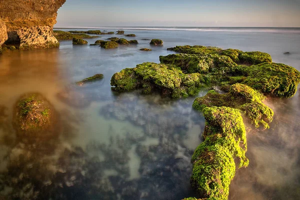 Vista Panorâmica Incrível Praia Tropical Composição Natureza Cores Vibrantes — Fotografia de Stock