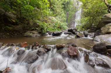 Derin bir yağmur ormanında şelale / dere.