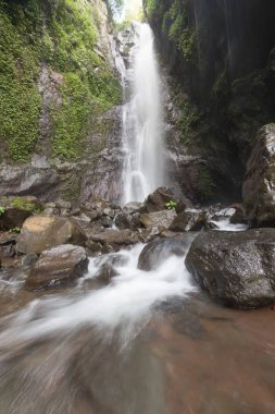 Derin bir yağmur ormanında şelale / dere.