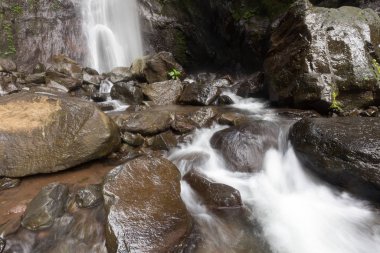 Derin bir yağmur ormanında şelale / dere.