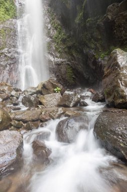 Derin bir yağmur ormanında şelale / dere.