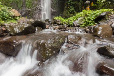 Derin bir yağmur ormanında şelale / dere.