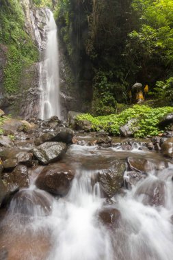 Derin bir yağmur ormanında şelale / dere.