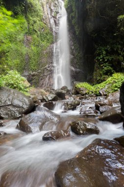 Derin bir yağmur ormanında şelale / dere.