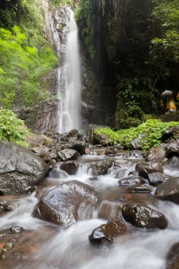 Derin bir yağmur ormanında şelale / dere.
