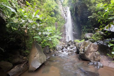 Derin bir yağmur ormanında şelale / dere.